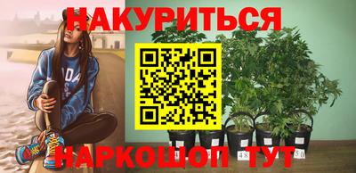 a pvp Дубна