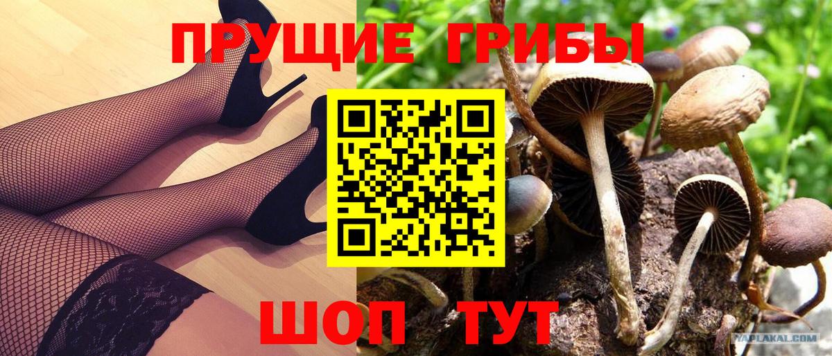 Псилоцибиновые грибы ЛСД  Вход с VPN  Кызыл  Галлюциногенные грибы прущие грибы 